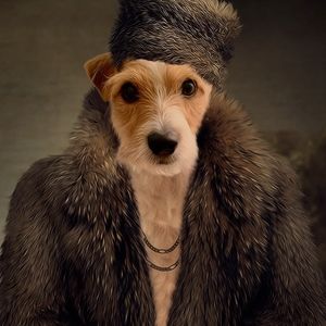 Meet your Posher, Ali